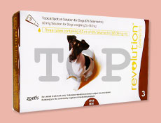 レボリューション 小型犬用 5kg～10kg